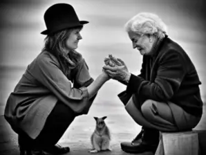 {{brizy_dc_image_alt entityId=